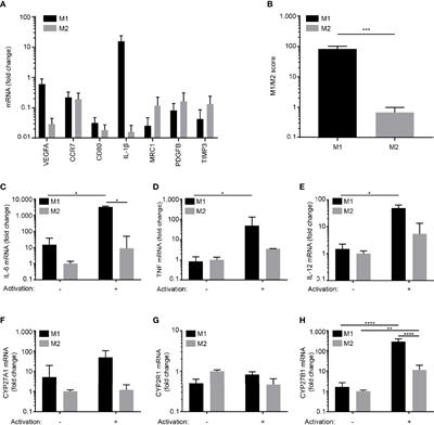 Macrophages Control the Bioavailability of Vitamin D and Vitamin D-Regulated T Cell Responses